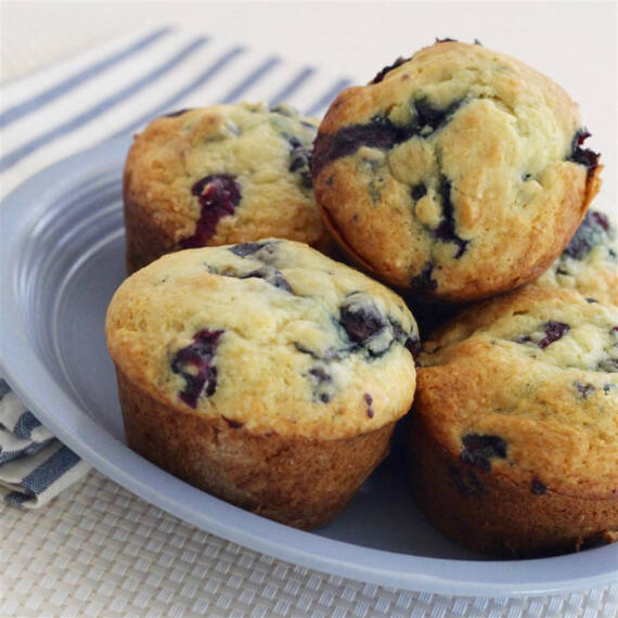 Blue-berry cheesecake muffin